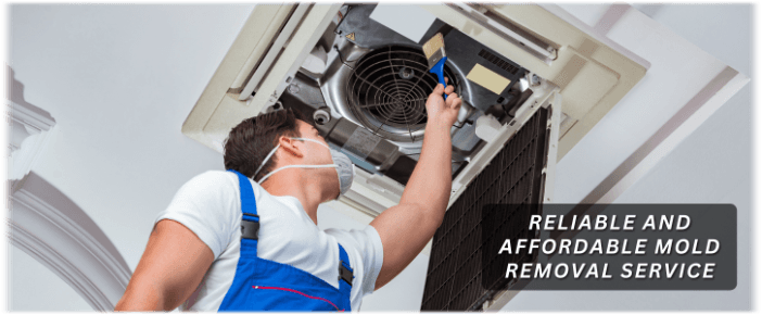 HVAC Mold Removal Jupiter FL